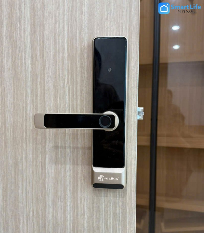 Lap khoa cua van tay Vung Tau